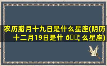 农历腊月十九日是什么星座(阴历十二月19日是什 🐦 么星座)